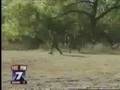 Close Assault 1944, Camp Mabry, Austin, Texas, November 08