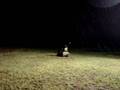 videos de How to cut grass at night...Guam style!