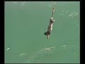 NZ - Saut a l\ NZ - Saut a l\