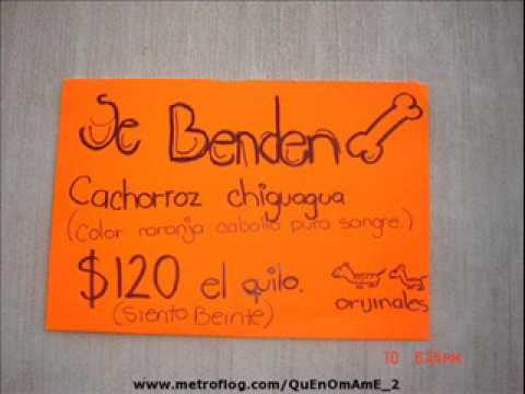 Imagen de previsualización de YouTube