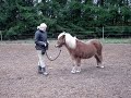 Wisti og Egbert