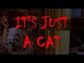 Supercut: It's Just A Cat
