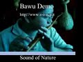 Bawu Demo: Chinese minority group Gourd Pipe reed flute