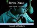 Bawu Demo: Chinese minority group Gourd Pipe reed flute