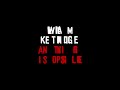 Anything is Possible, William Kentridge