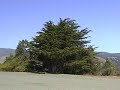 Californien Coast