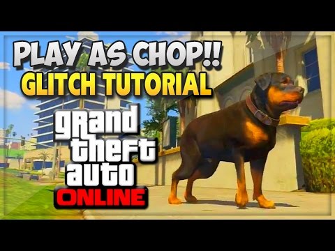GTA 5 Glitches Online - GTA V How To Play As Chop Online ! (GTA 5 Online Glitches Gameplay & Mods)