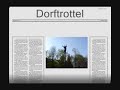 Wenn Idioten durchdrehen (Jackass)