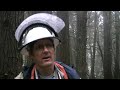 Trying to stop Sudden Oak Death