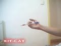 KIT CAT 2 [ part 1 ]