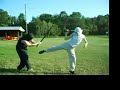 Stupid Ninja Fights - Who Needs a Head? Stupid Ninja Fights - Who Needs a Head?
