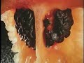 aj-goce-que-arde-y-textiles-paracas.html