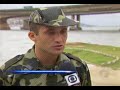 Tubarao Martelo Degolada Gravida