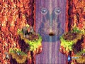A fight against Squirt in Donkey Kong Country 3 for the GBA. His attacking patterns are, strangely, different from the SNES version of the game. Requested by StraitTeamPlayer.UPDATE: Tons of people have been asking me how to suck up water in this game, so here's how you do it. Stand in front of the water and hold Down and R. This sucks up the water. Then, to spray it, press R (or Up+R if you want to spray up).In the SNES version, you can just press L to suck up water, and R (or Up+R when spraying up) to spray water. You can also use Down+A instead of L, and A/Up+A instead of R/Up+R, respectively.