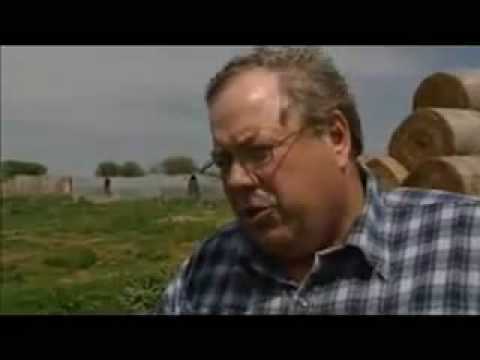 Understanding Dangerous GMO Foods