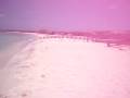 aruba arashi beach