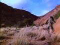 Red Dawn - Clip 09 - WOLVERINES!!