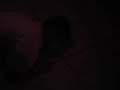 dumass 0001