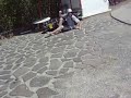 Alex Minney and the Moped