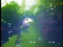 GNOM ROV VIDEO GNOM ROV VIDEO