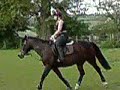 me and maisie in the field