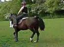 me and maisie in the field