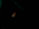 Lucile && Oph�lie (1).MP4