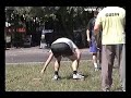 Turniej miast Gubin-Guben-Laatzen WnN 2008 ! Turniej miast Gubin-Guben-Laatzen WnN 2008 !