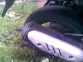 bornaout la cotra lu vili si gainele lui:)))))))...by raulo bornaout la cotra lu vili si gainele lui:)))))))...by raulo