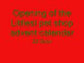 Littlest pet shop advent calendar: door 22