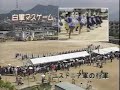 山田南平