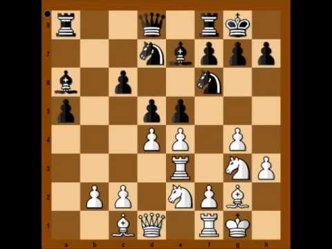 magnus carlsen