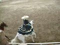 Camperas de Chiná, Campeche en Nacional Charro Zacatecas 2008 Camperas de Chiná, Campeche en Nacional Charro Zacatecas 2008