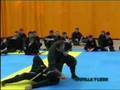 Nin Jutsu en Comillas - Bujinkan Collado Dojo