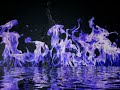 Feuer und wasser