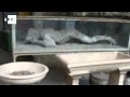 EFEMÉRIDES.- Tal día como hoy del año 79, Pompeya quedaba sepultada por el Vesubio