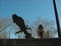 Ben in New York