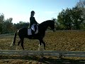 clemence et son cheval clemence et son cheval