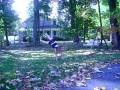 videos de round off back hand spring back tuck.