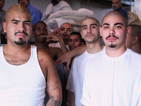 how to control or eliminate prison gangs