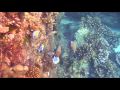 La fin d'un r�ve...