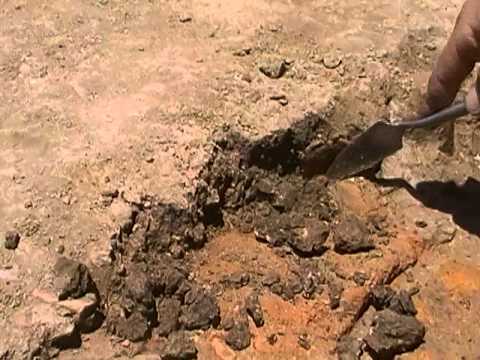 guarda il video