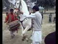 puran shadi raja Nasar Ullah lumabar