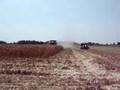 Lexion 595R with 12 row corn head