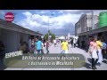 ver trabalho Especial XVI Feira da Mealhada