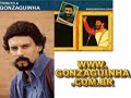 gonzaguinha cantando infinito desejo