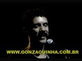 gonzaguinha cantando infinito desejo