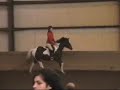 Hazelwild Community Horse Show 2007