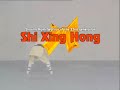 the-18-movements-of-shaolin.html