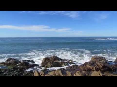 Video for Bean Hollow State Beach